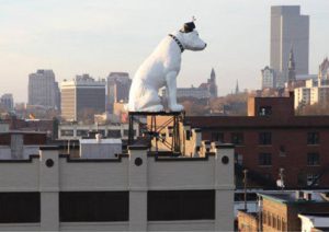 Public Art Exhibition Honors Albany's Unofficial Mascot Nipper